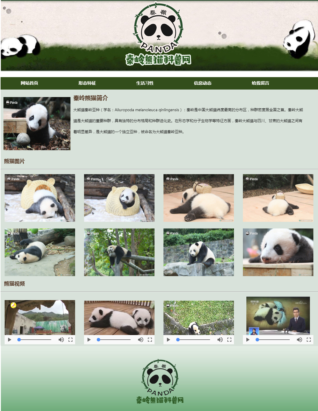 熊猫(5页)含视频表单----编号0518
