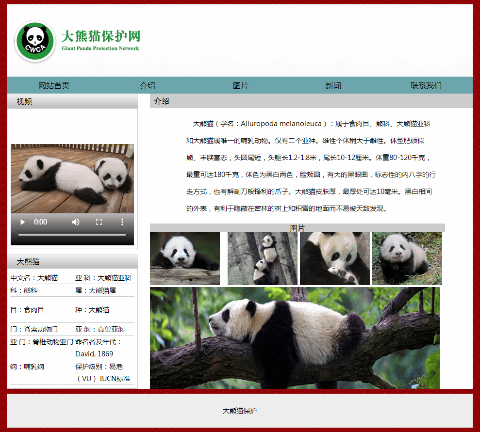 大熊猫保护网（12页）表单----编号