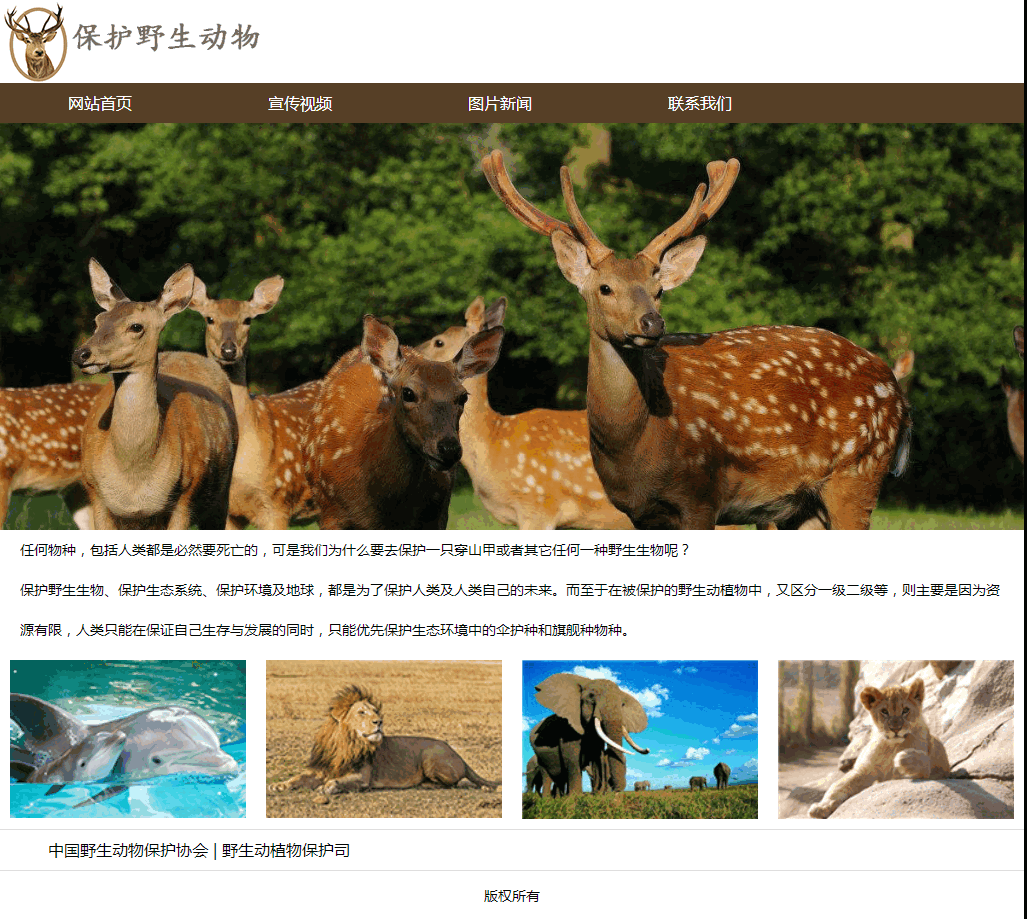 保护野生动物[4页]DIVCSS布局 表单